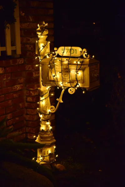 DSC_5822 (Large).JPG